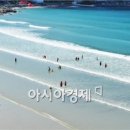 신흥민박 이미지