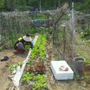 가자농장 이미지