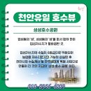 최강부동산중개 이미지