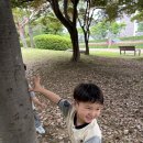 🌿 숲속 작은 일꾼, 개미를 알아보아요! 이미지