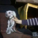 계명주유소 이미지