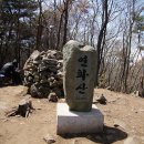 튤립공원 이미지