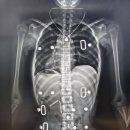 연세다온재활의학과의원 이미지