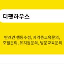 살구펫 이미지