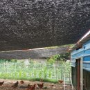 차강농장 이미지