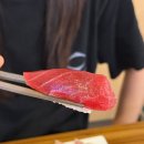 여우골 초밥(신촌점) | 신촌 스시 맛집 초밥, 회덮밥 잘하는 여우골 신촌점 내돈내산 2탄