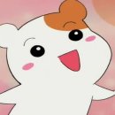 퍼펙트바디 이미지