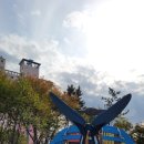 주유동 이미지