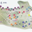 안계천 네이버블로그
