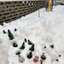 건행펜션 이미지