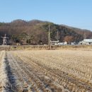 동양평농원 이미지