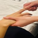 분당-146 이미지