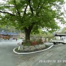 도계경로당 이미지