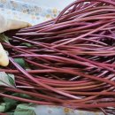 이훈농장 이미지