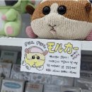 웨이비파트너스 | 전포카페거리 addd 일본 감성 디자인편집샵 방문 후기