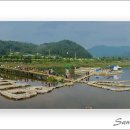 봉평메밀 이미지