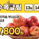 수목할인마트 이미지