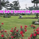 신북로2 이미지