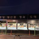 오복 | 경주중앙시장 먹거리 주차 양북소머리곰탕 오복통닭 내돈내산 후기