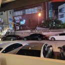 제이 앤 제이 애견 이미지