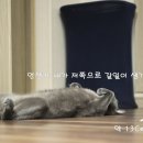 자동차세차마을 이미지