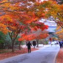 동안미용실