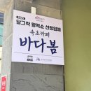카페봄 - 양주시 고암길 208 | [속초 여행] 오션뷰 하나로 올킬! 속초 카페 '바다봄' 후기 (라떼&애플망고빙수)