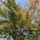 금지보건진료소 | 전북 익산 금지보건진료소 단열필름 시공 후기