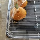 더예쁜소길초가 | 제주 애월 대형카페 이끼숲소길 커피 디저트 맛집 내돈내산