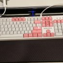 긱스타PC 이미지