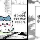 족발마켓 네이버블로그