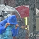 소나기 - 서초구 | 소나기