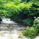 (주)열무 이미지