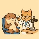 이동면보건지소 | 포천시 안과 12곳 진료시간, 병원리뷰