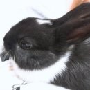 별이농장 이미지