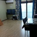 해뜨는 숲속 이미지