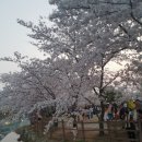 운천저수지 이미지