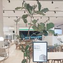 몽키우드 포세린식탁 심장저격 테이블 추천