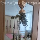 한수정다옴메디월요가필라테스