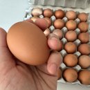 주령축산 네이버블로그