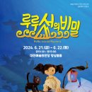 루루섬의 비밀 네이버블로그