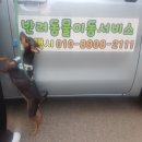 위니펫동물병원 이미지