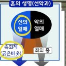 나무와창 이미지