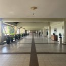 7359 | 키나발루 숙소] 태교여행 숙소 추천, 더 마젤란 수테라 리조트, 더 마젤란 수트라 가격•위치•가든뷰 후기