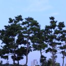 40살 생일 스쿠터소풍 - 반포 서래마을 몽마르뜨 공원 이미지