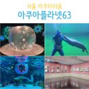 주차63 | 아쿠아플라넷 63 종합권 후기 (할인, 주차)