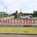 제주가든 이미지