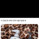 주-포스트 이미지