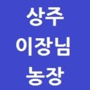 상주이장님농장 네이버블로그
