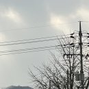 지평파출소 이미지